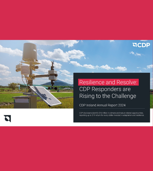 CDP Ireland Report Launch